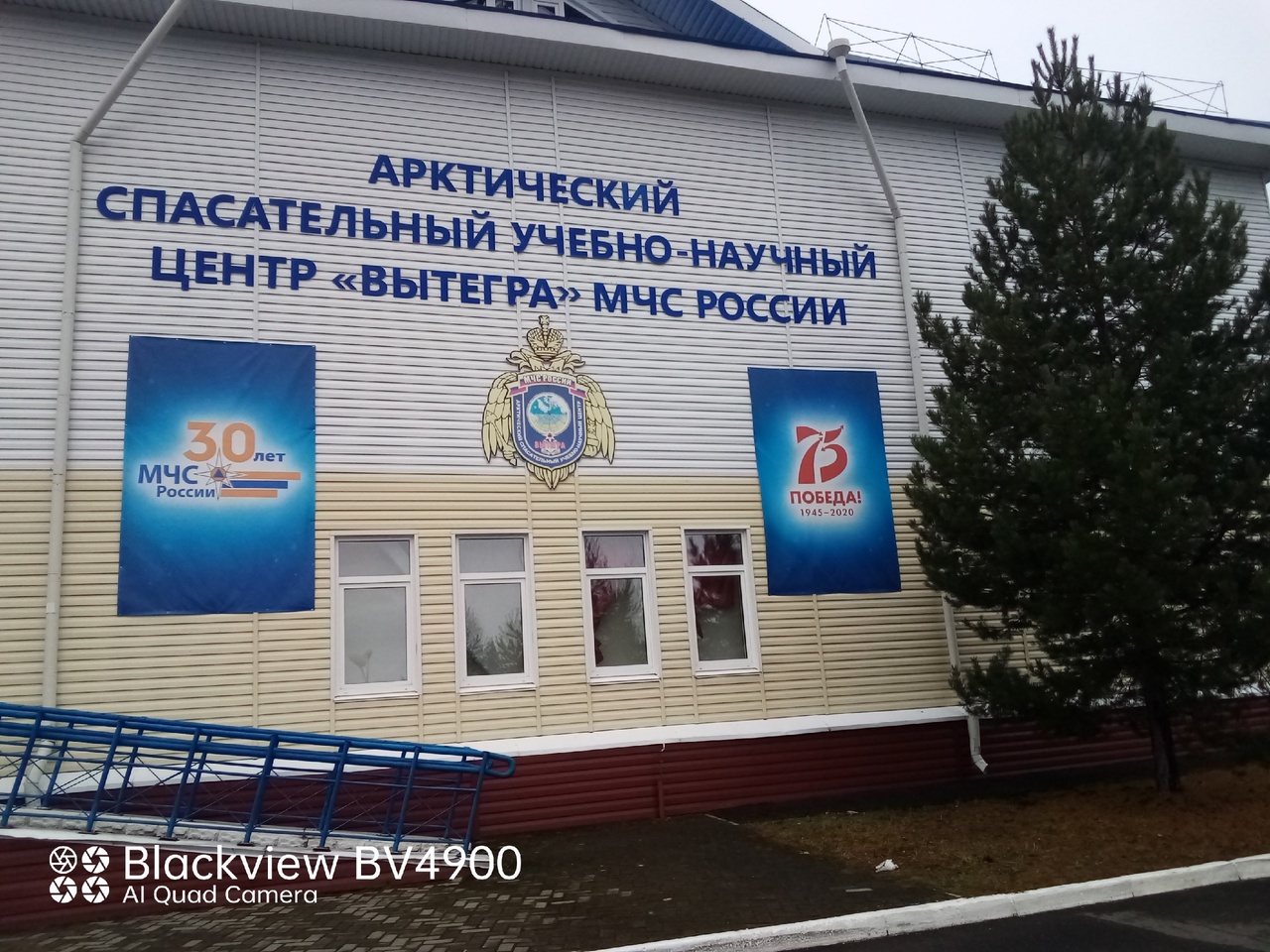 Знакомство с профессией кинолога.